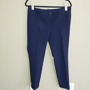 ann taylor pants